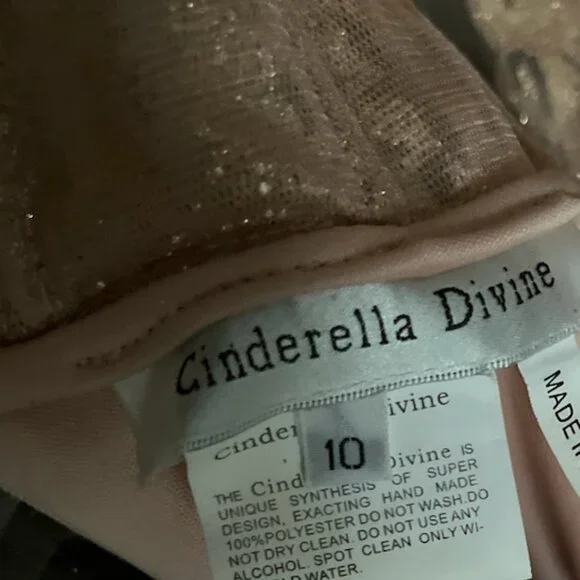 Cinderella Divine Rose Gold/Pink Dress